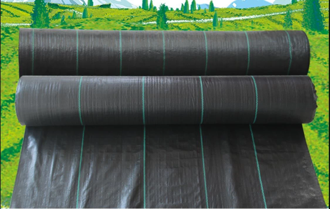 Dvije velike role geotekstila protiv korova sa zelenim mrežastim linijama razmotane na travnatoj pozadini, idealne za zaštitu vrta bez kemikalija.